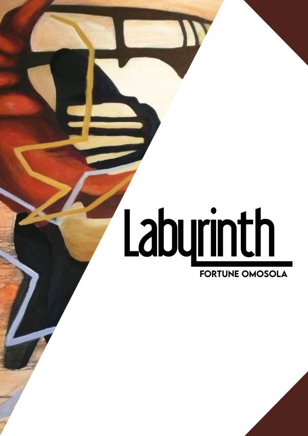 Labyrinth by Fortune Omosola